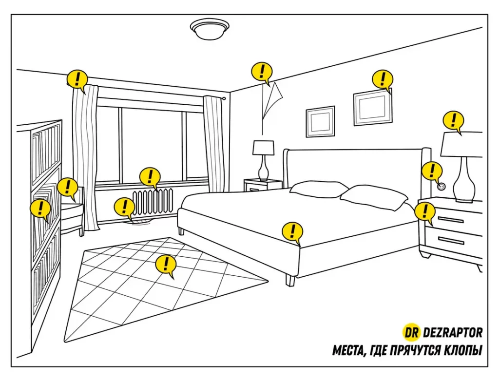 Места в спальне, где живут клопы