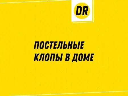 Превью статьи о постельных клопах в доме