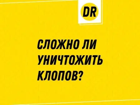 Превью статьи о том сложно ли уничтожить клопов