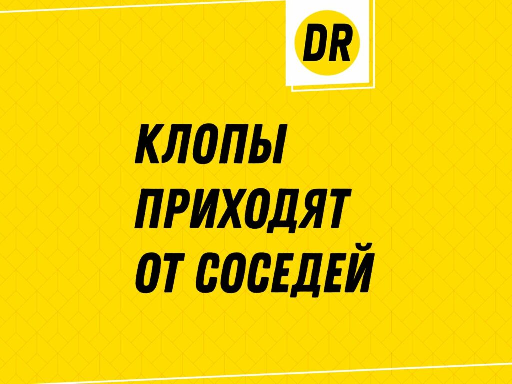 Превью статьи о клопах пришедших от соседей