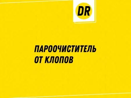 Превью статьи о пароочистителе от клопов