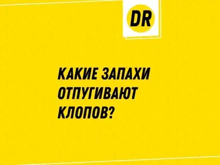 Превью статьи о запахах отпугивающих клопов